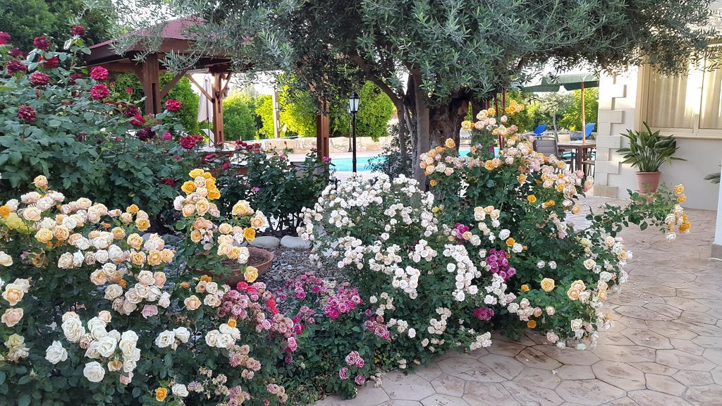 Jaime Villa Cyprus อาร์กากา ภายนอก รูปภาพ